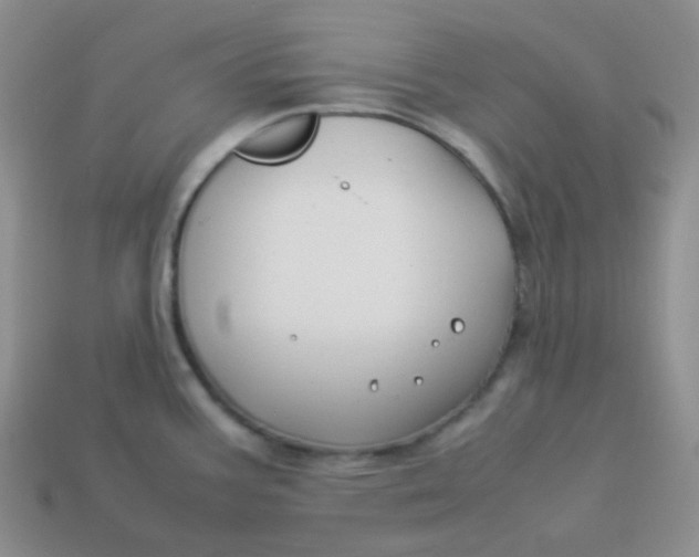 X0000113911387200910151408