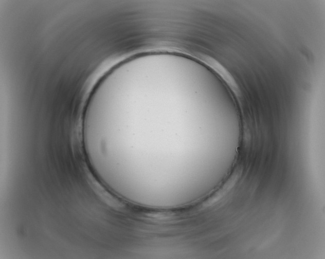 X0000113911388200910151408