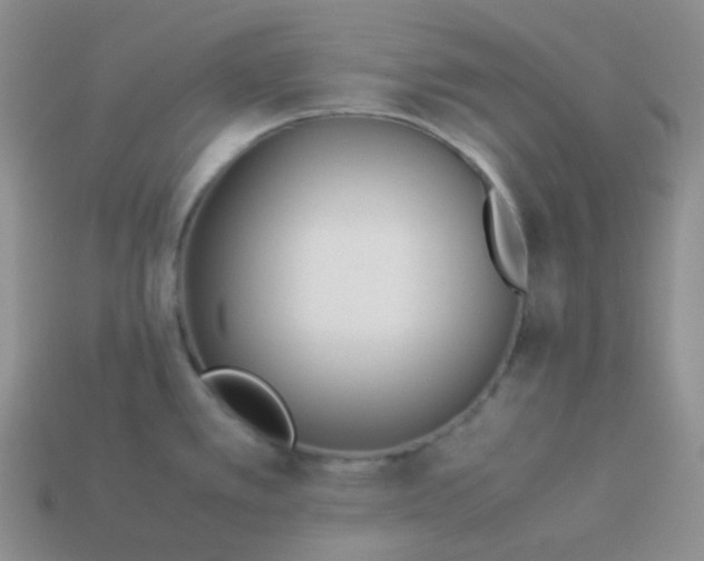 X0000113911389200910151408