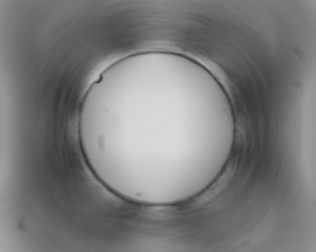 X0000113911390200910151408