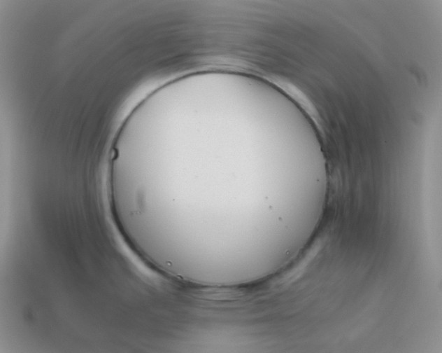 X0000113911391200910151408