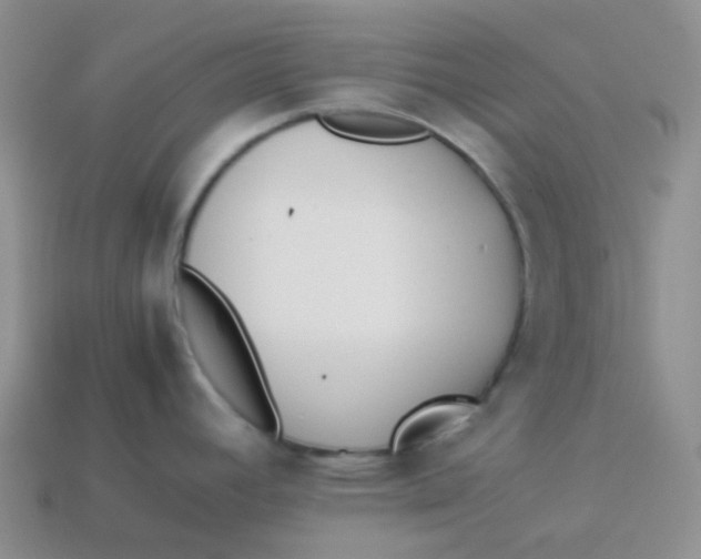 X0000113911392200910151408