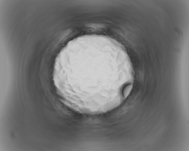 X0000113911393200910151407