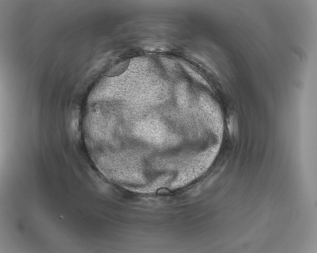 X0000113911396200910151408