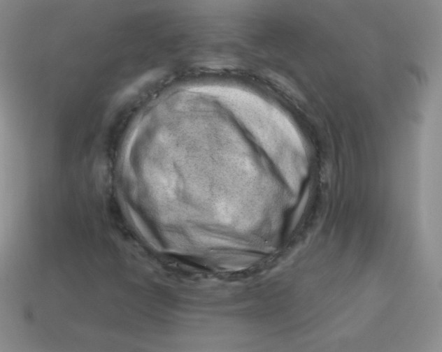 X0000113911398200910151408