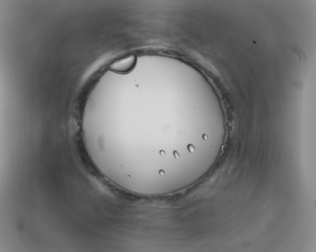 X0000113911400200910151408