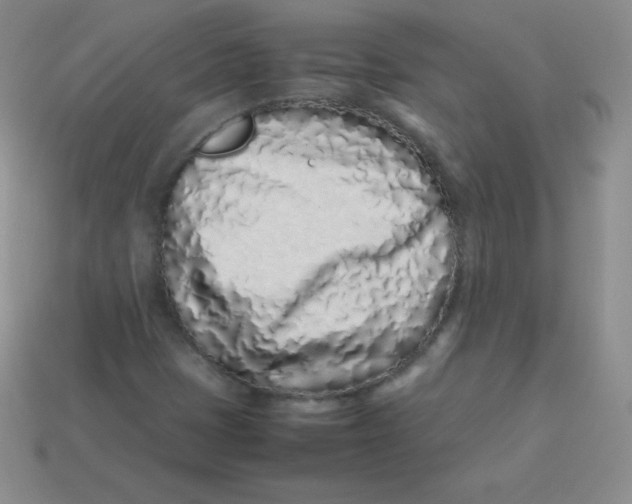 X0000113911401200910151408