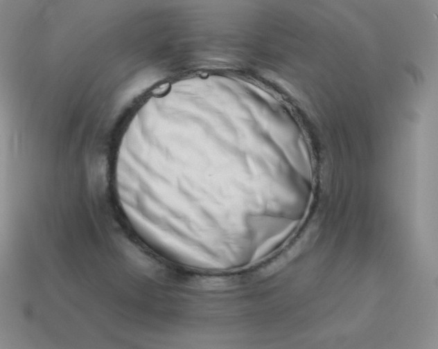 X0000113911402200910151408