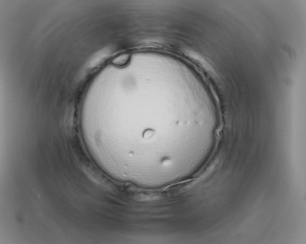 X0000113911403200910151408