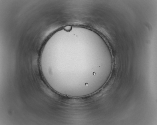 X0000113911404200910151408