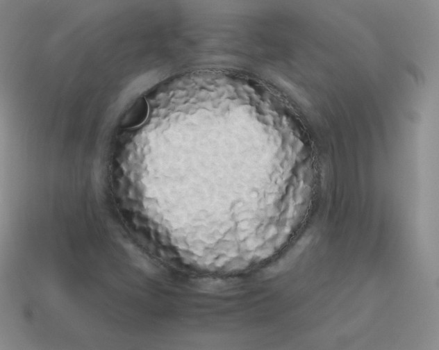 X0000113911405200910151408