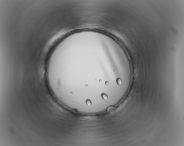 X0000113911406200910151408