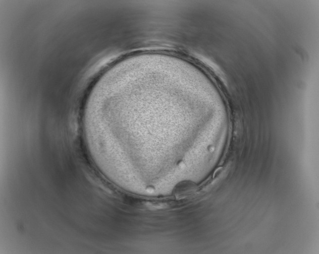 X0000113911407200910151408