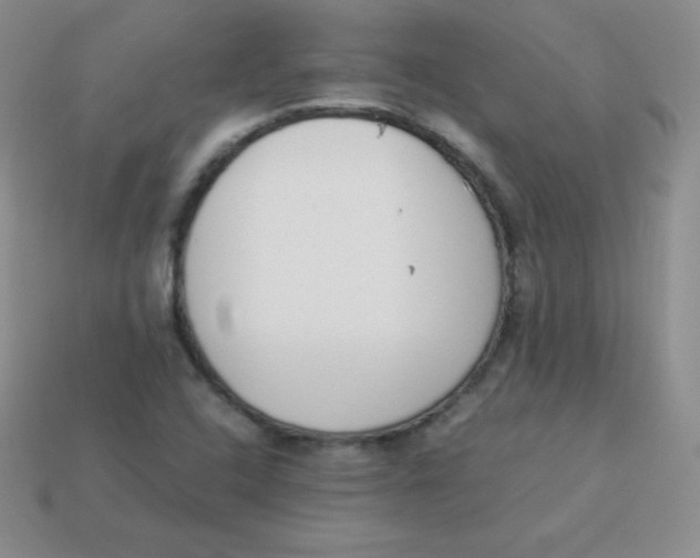 X0000113911408200910151408