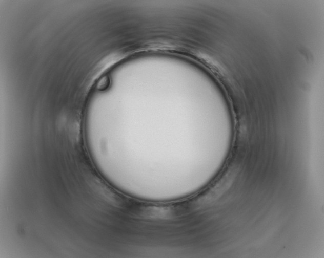 X0000113911409200910151408