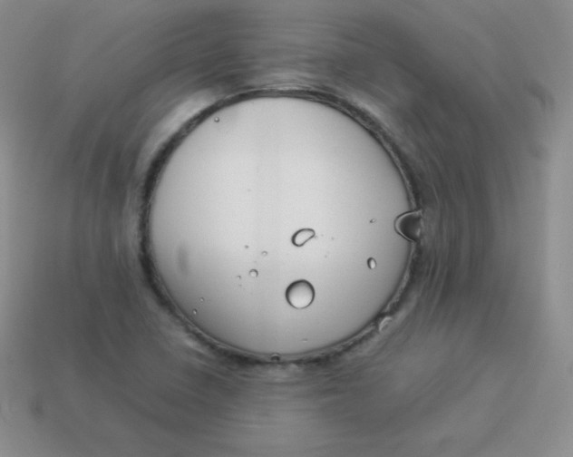 X0000113911410200910151408