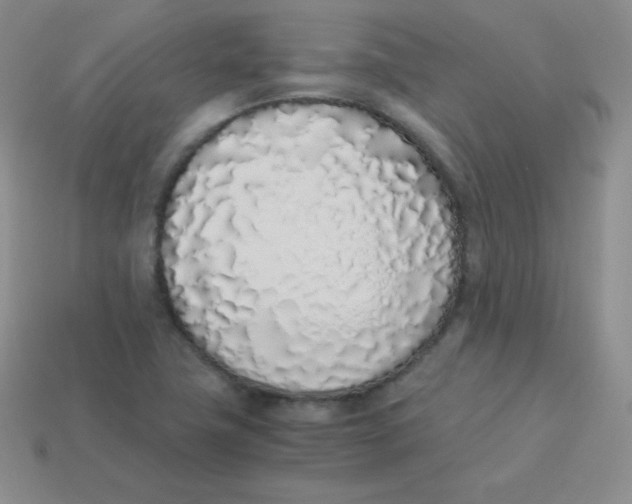 X0000113911411200910151408