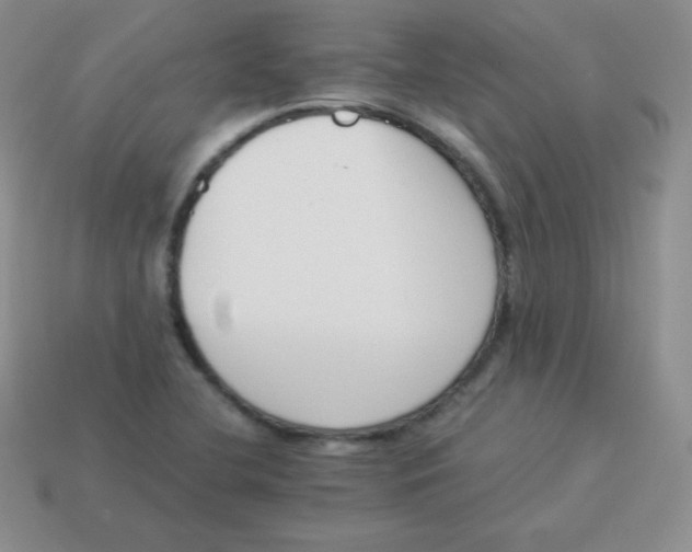 X0000113911412200910151408