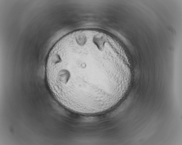 X0000113911413200910151408