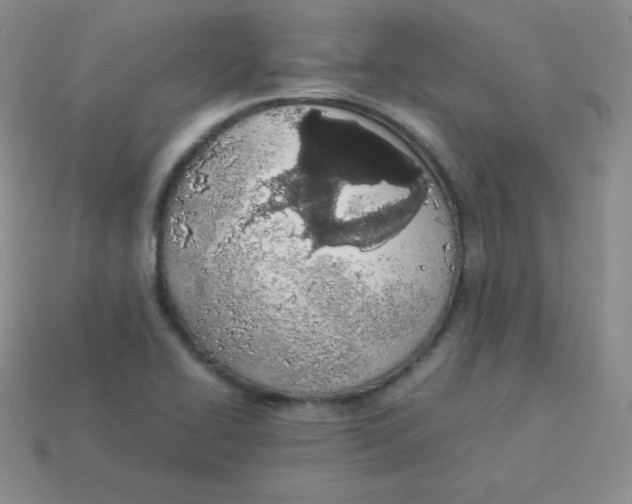 X0000113911414200910151408