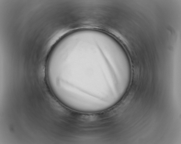 X0000113911415200910151408