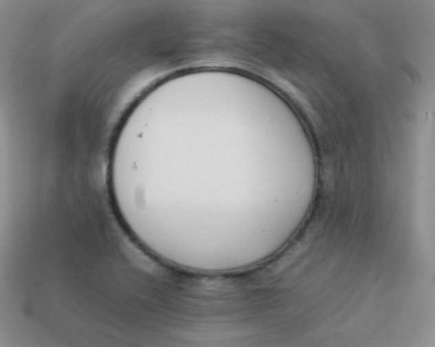 X0000113911416200910151408