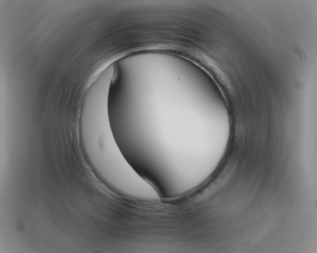 X0000113911417200910151408