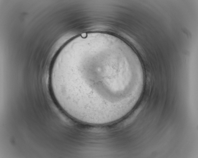 X0000113911418200910151408