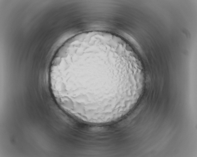 X0000113911419200910151408