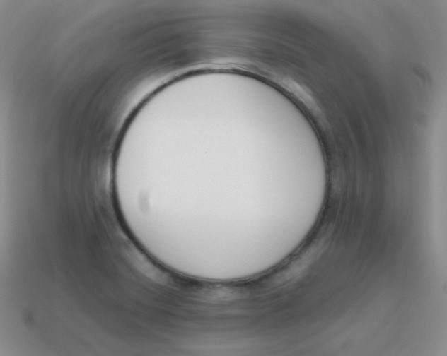 X0000113911420200910151408