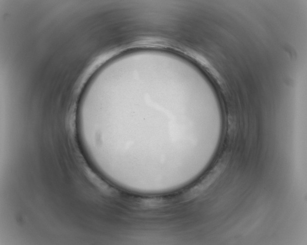 X0000113911421200910151408