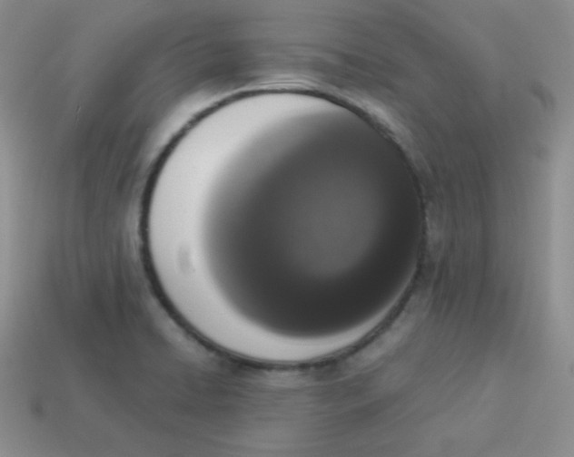 X0000113911422200910151408