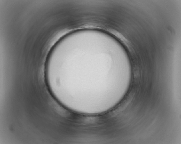 X0000113911423200910151408