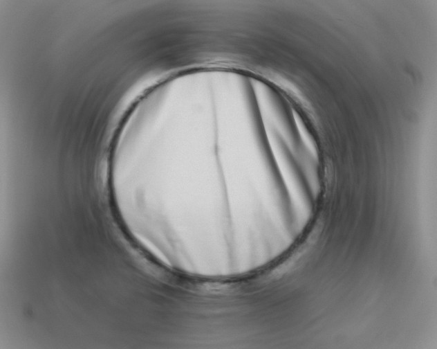 X0000113911424200910151408