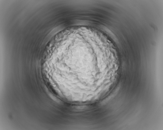 X0000113911425200910151408