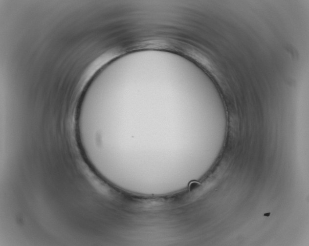 X0000113911426200910151408