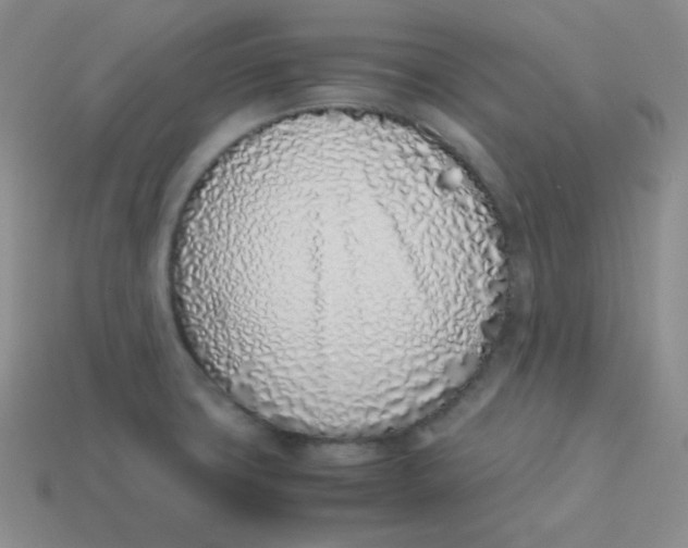 X0000113911427200910151408