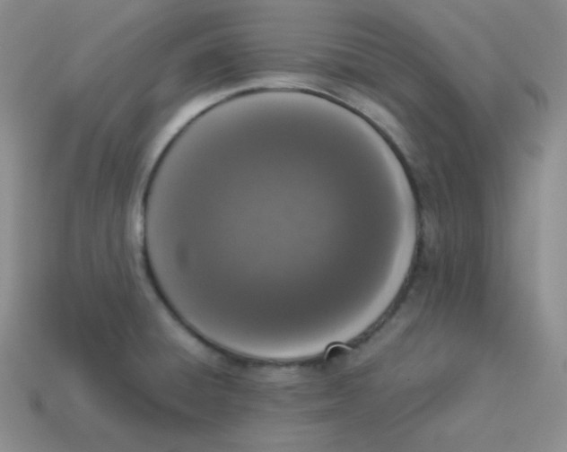 X0000113911428200910151408