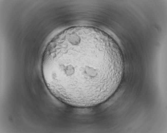 X0000113911429200910151408