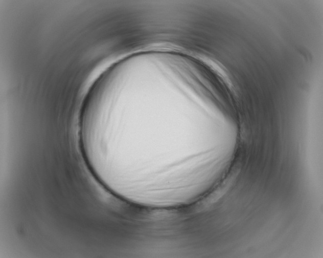 X0000113911430200910151408