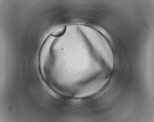 X0000113911431200910151408