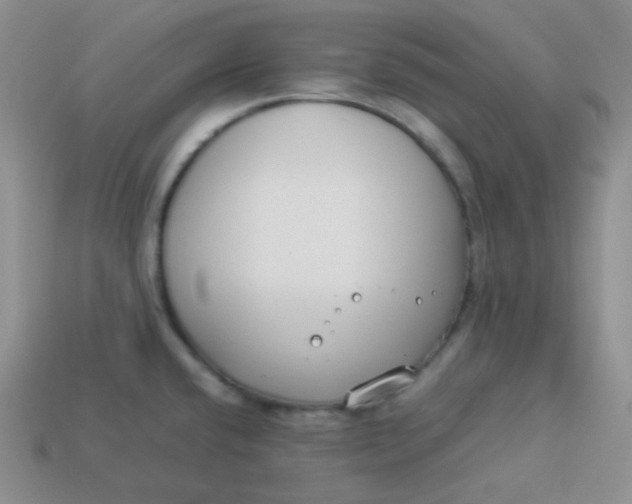 X0000113911432200910151408