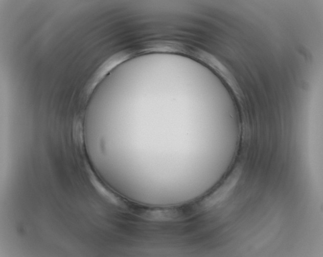 X0000113911433200910151408