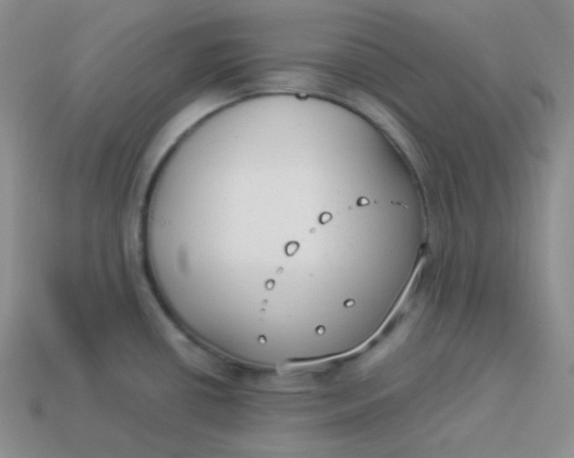 X0000113911434200910151408