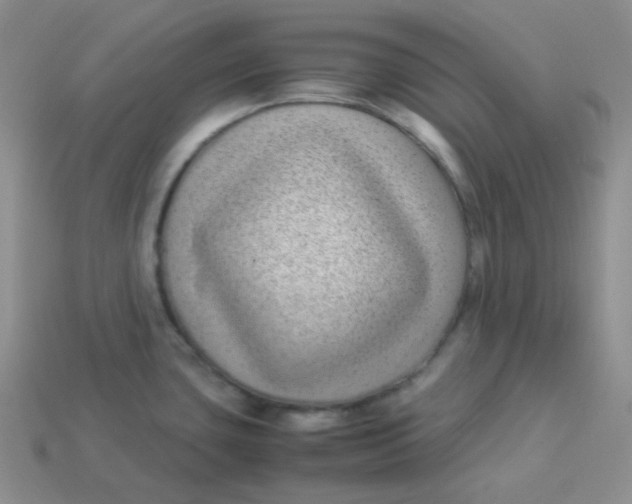 X0000113911435200910151408