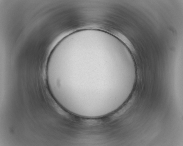 X0000113911436200910151408