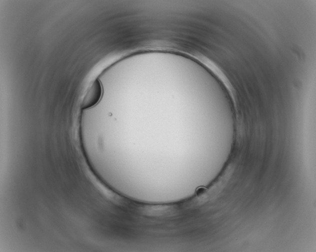 X0000113911437200910151408