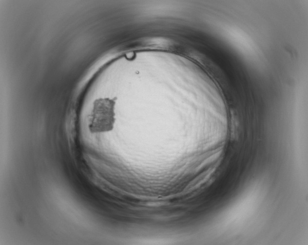 X0000113911438200910151408