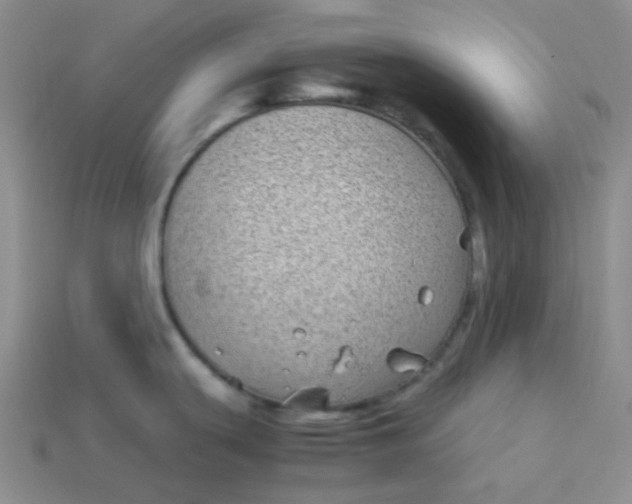 X0000113911439200910151408