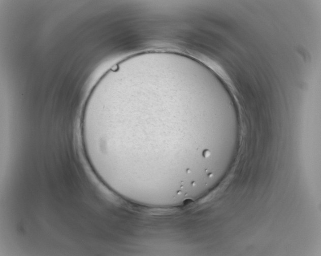 X0000113911440200910151408